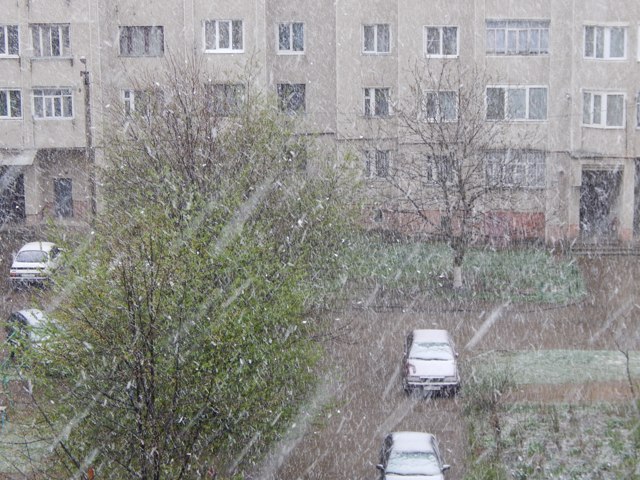 В Івано-Франківській області через шквальний вітер, дощі, грози і сніг, які сьогодні пронеслися над її територією, станом на 17.00, частково без електропостачання перебувають 10 районів