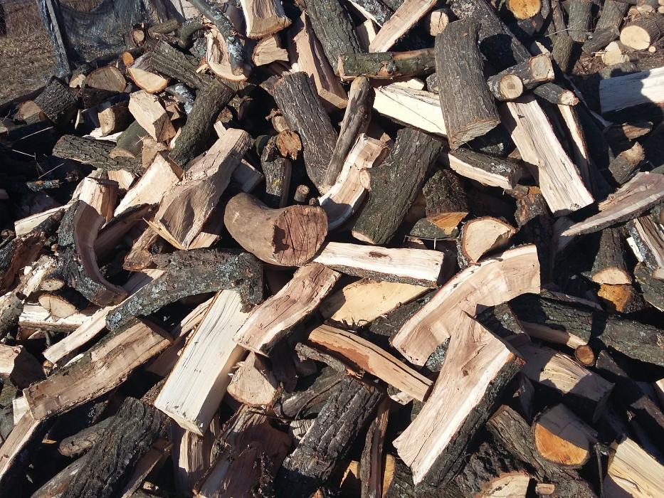 В Закарпатському обласному управлінні лісового та мисливського господарства розповіли яка на сьогоднішній день реальна ціна на дрова в області.
