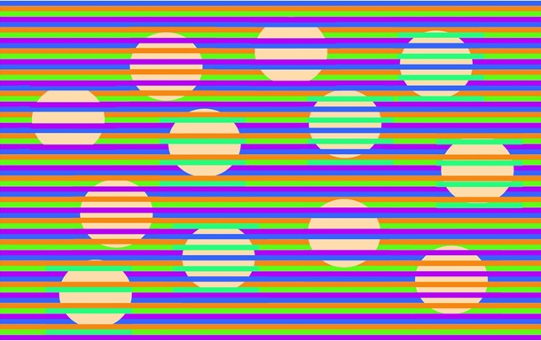 Під час споглядання картинки здається, що кола на ній розфарбовані в різні кольори. Насправді ж вони одного кольору.
