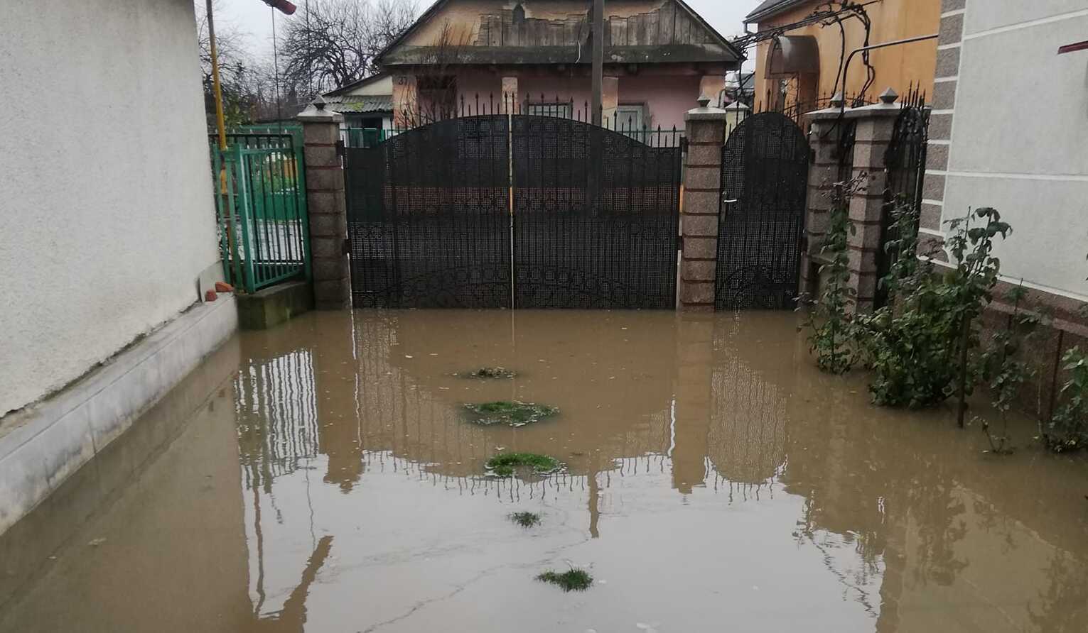 Унаслідок сильних опадів на Виноградівщині затопило деякі домогосподарства.