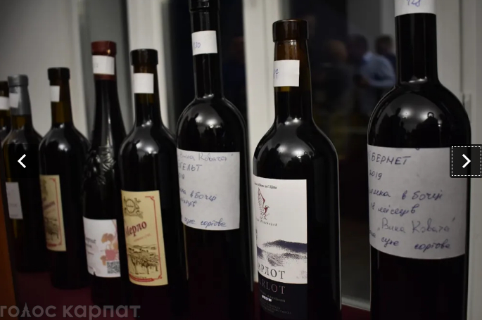 Найкращі вина Закарпаття визначили в колишньому маєтку графа Перені (ФОТО)