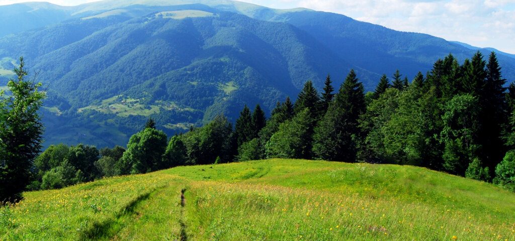 Стежка протяжністю аж 343 кілометри проходить гірськими масивами Карпат, значна її частина простягається територією Перечинського району.