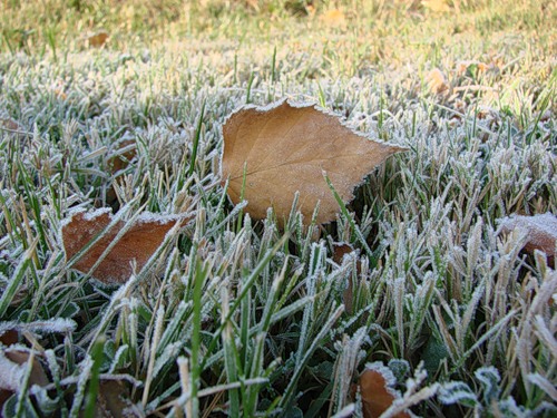В горах с 30 сентября по 2 октября на поверхности почвы возможны заморозки 0-2° мороза