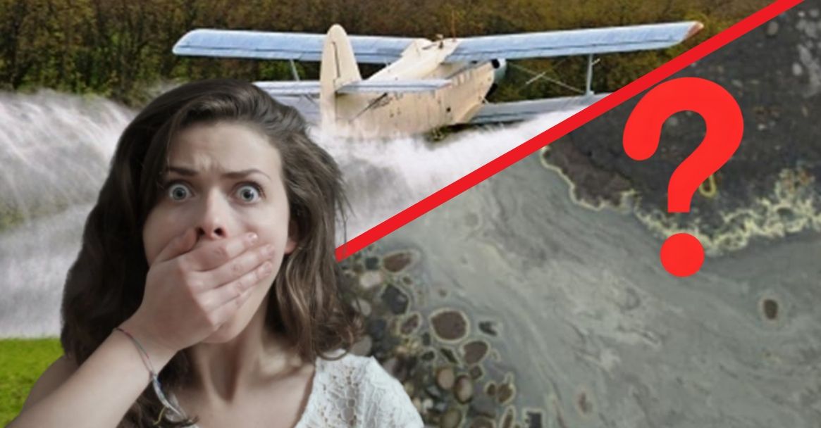 "Do they spray chemistry?": Transcarpathians are shocked by what they saw in different districts of the region (PHOTOS)