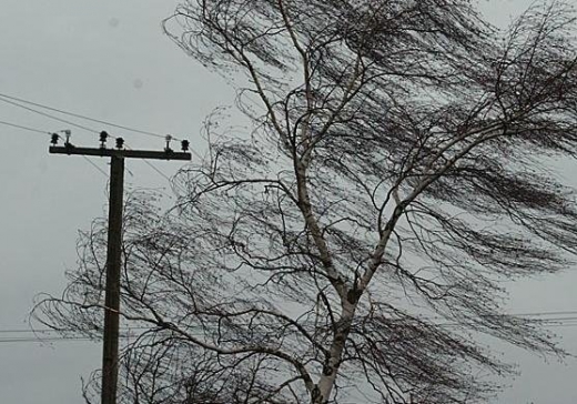 Из-за сильных порывов ветра произошло падение пяти деревянных электрических опор.