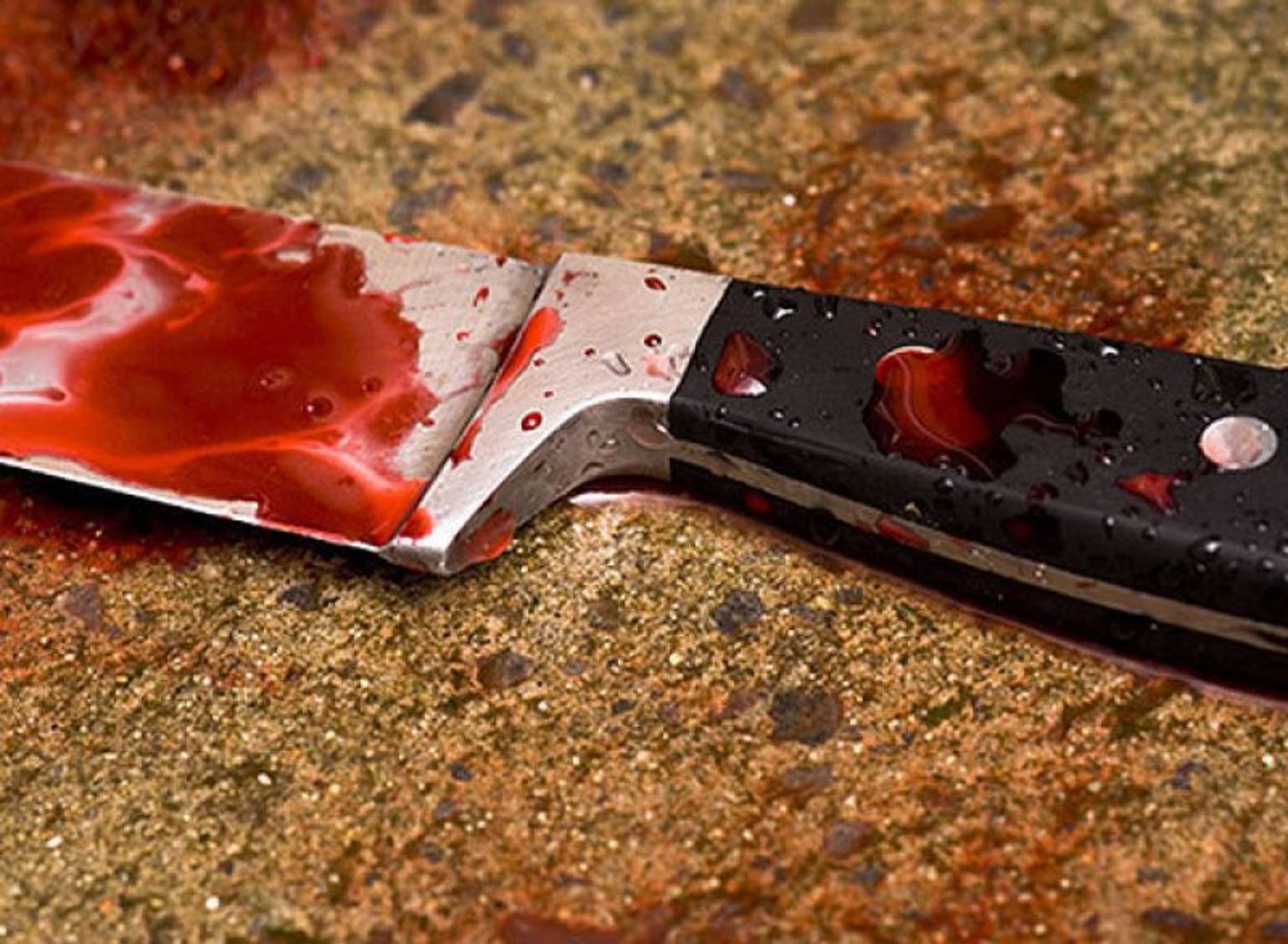 Вчора по обіді в Берегово по вул. Тіноді, неподалік місця компактного поселення ромів, було знайдено місцеву ромку з наявними ножовими пораненнями.