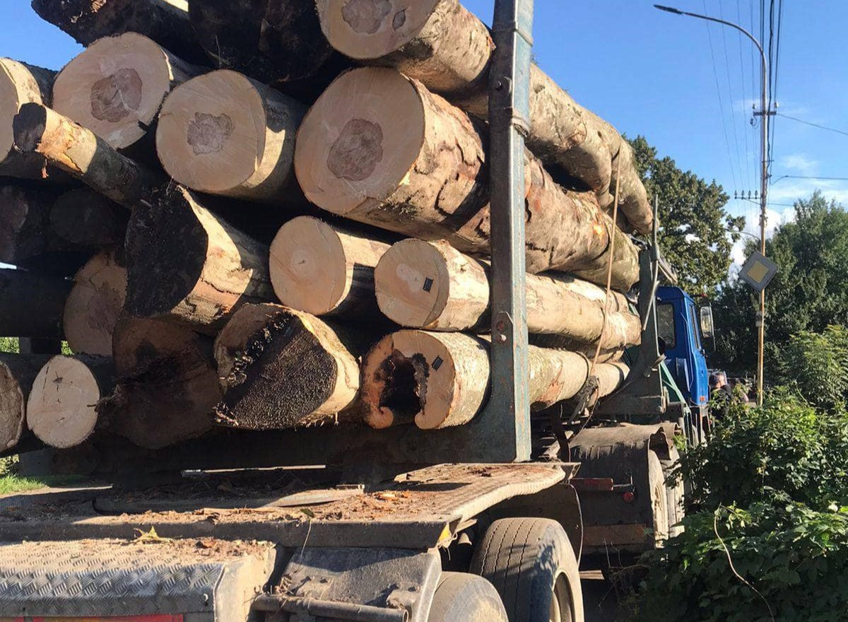 У Сваляві поліція вилучила вантажівку з нелегальною деревиною породи «Бук».