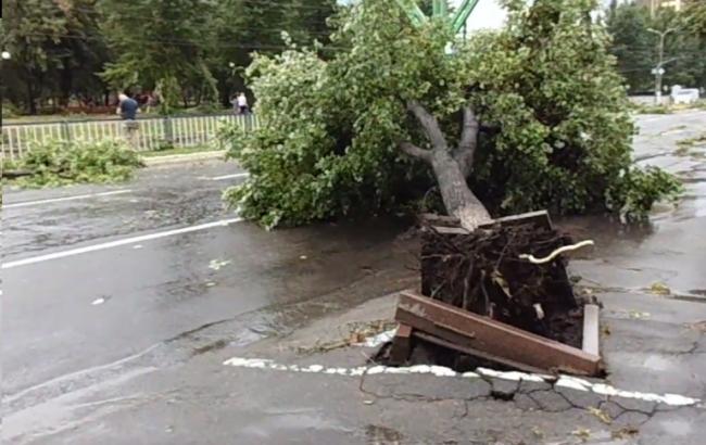 Сильні пориви вітру та опади, які пройшлися територією Закарпаття, завдали збитків регіону у вигляді повалених дерев та знеструмлених населених пунктів.