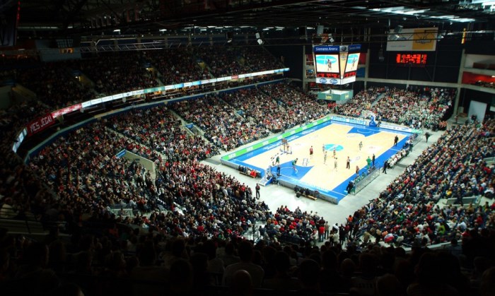 Заняв последнее проходное место в виртуальной таблице команд, которые оказались вторыми в своих группах сборная Украины по баскетболу стала участником Евробаскета-2017. 