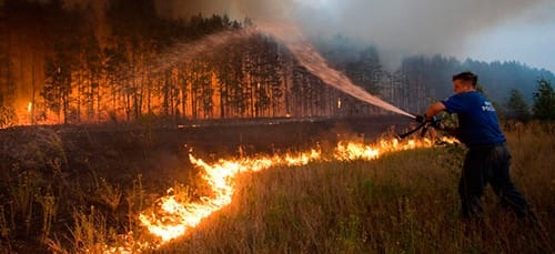 Цьогоріч на Закарпатті зафіксували понад 2200 загорань в екосистемах, із них 46 – у лісах регіону. Кількість таких пожеж у порівнянні з минулим роком зросла майже в 4 рази, і тенденція невтішна.