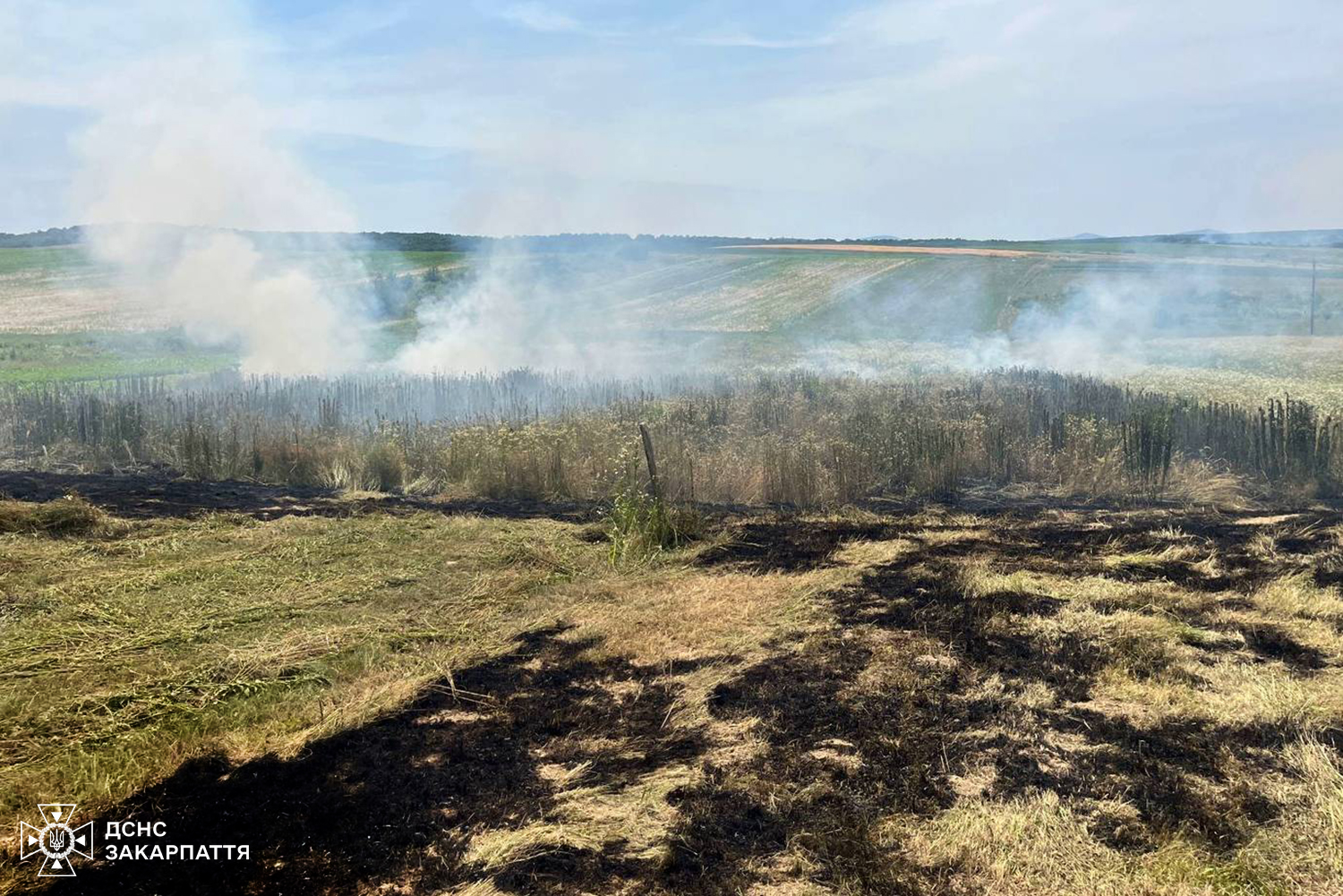 Трагедія на Берегівщині: жінка загинула у вогняній пастці через спалювання сміття (ФОТО)