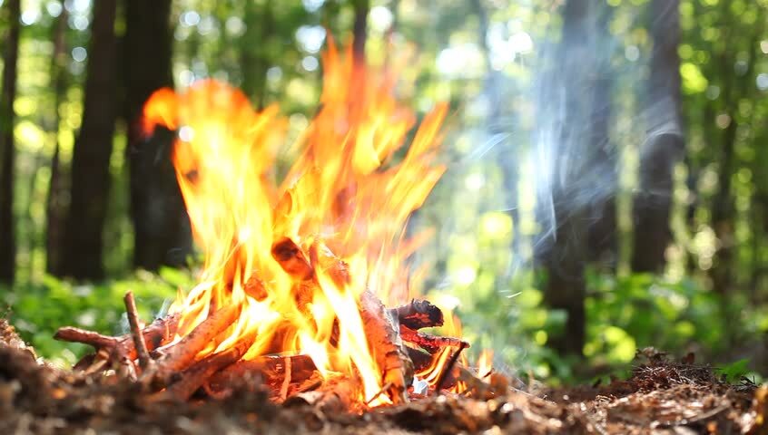 В області посилюють захист лісів у весняно-літній пожежонебезпечний період. 