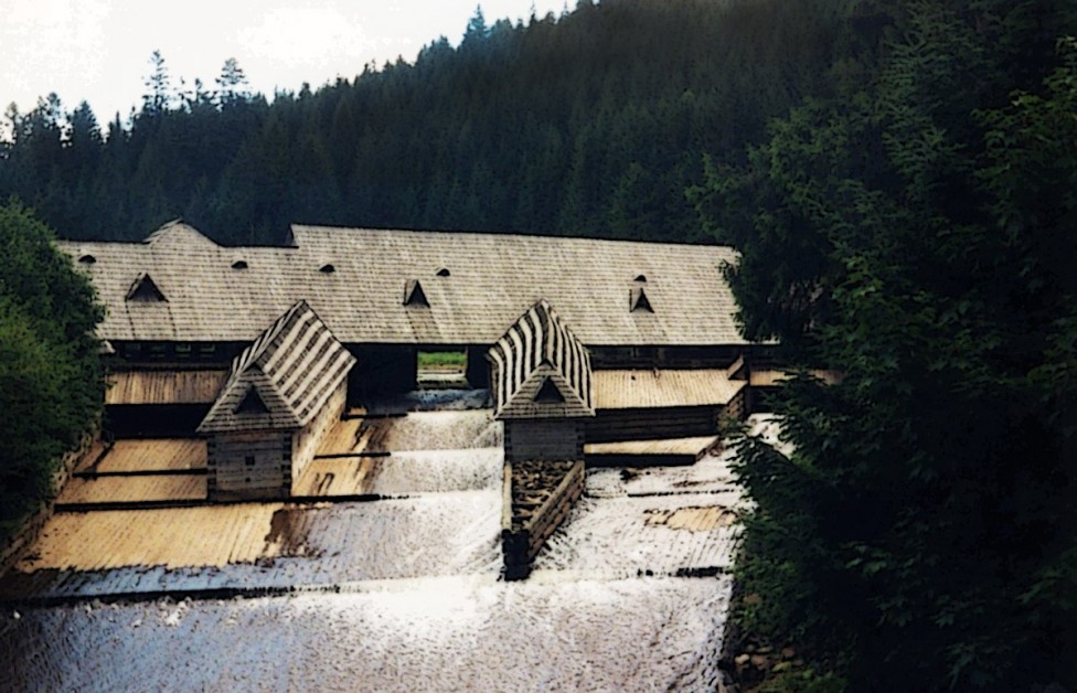 Единственный в Европе Музей леса и сплава удалось вернуть в государственную собственность. Об этом сообщает министр экологии и природных ресурсов Остап Семерак.