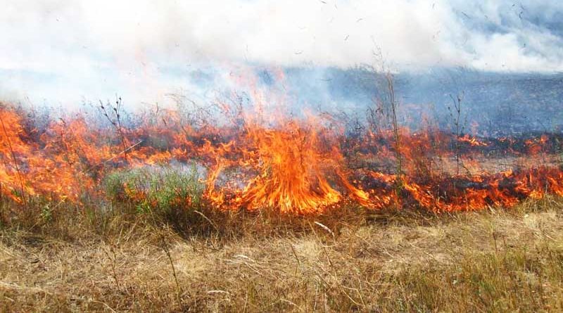 Масштабна пожежа сталася неподалік села Чабанівка.