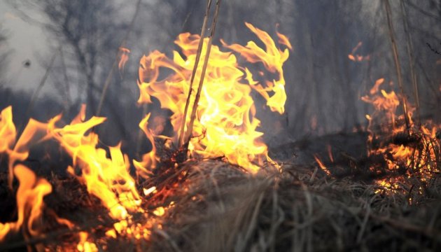 Масштабна пожежа на Хустщині: вогонь охопив суху траву та чагарники 