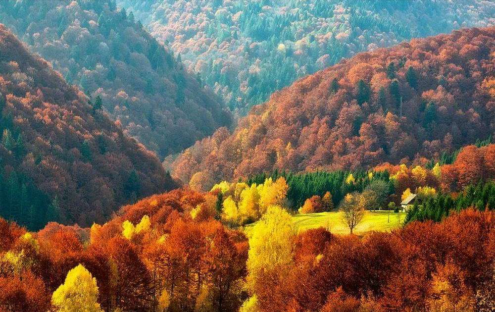Закарпатський обласний центр з гідрометеорології інформує, що 15 листопада 2017 року

