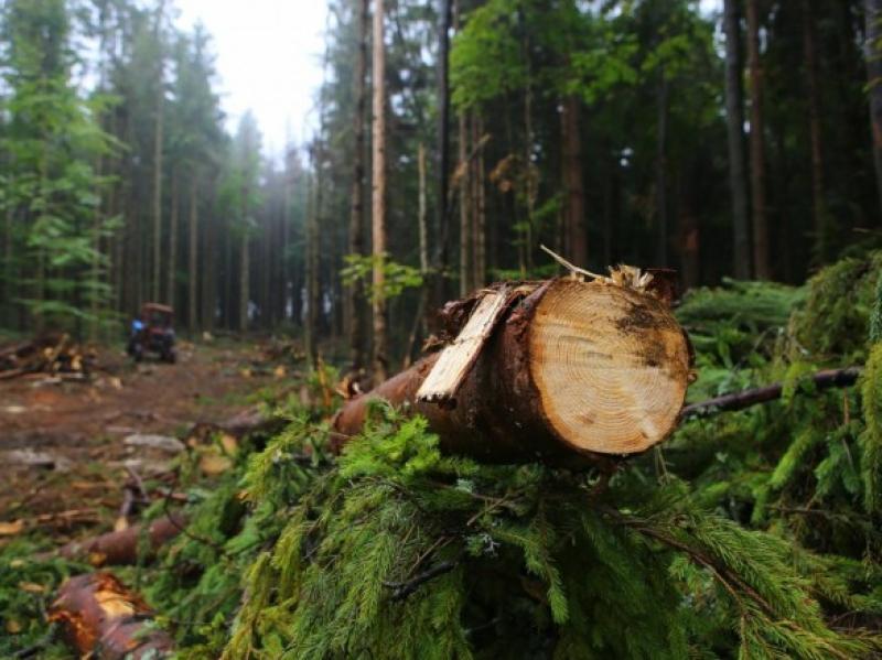 Об этом сообщили в Закарпатской областной прокуратуре.