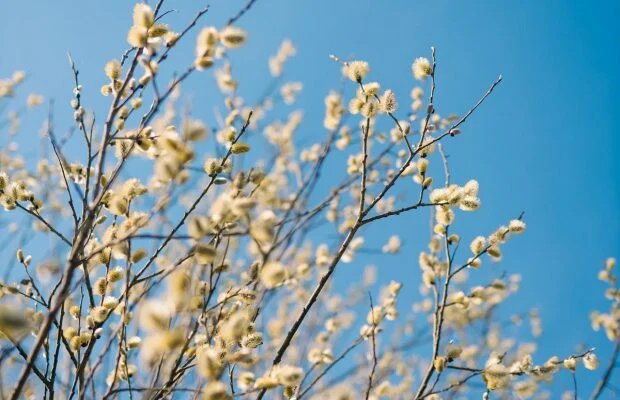 3 квітня: народні традиції, погодні прикмети, що не можна робити