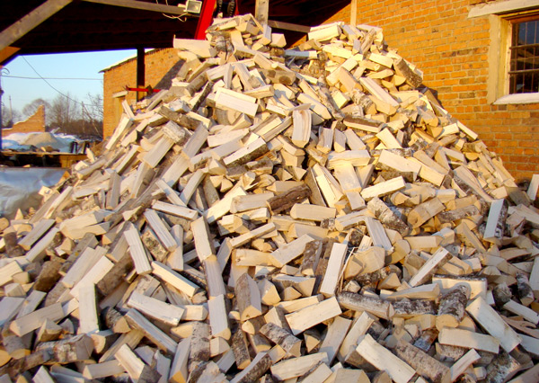 Кубометр дров паливних для населення у Свалявському лісовому господарстві в цьому році реалізується за ціною 492 грн.