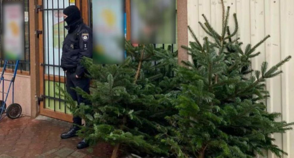 Сьогодні, близько 13-ї години, на вулиці Бородіна поліцейські виявили незаконну торгівлю ялинками.

