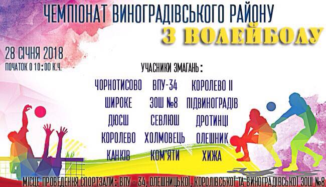 На Виноградівщині відбудеться чемпіонат району з волейболу