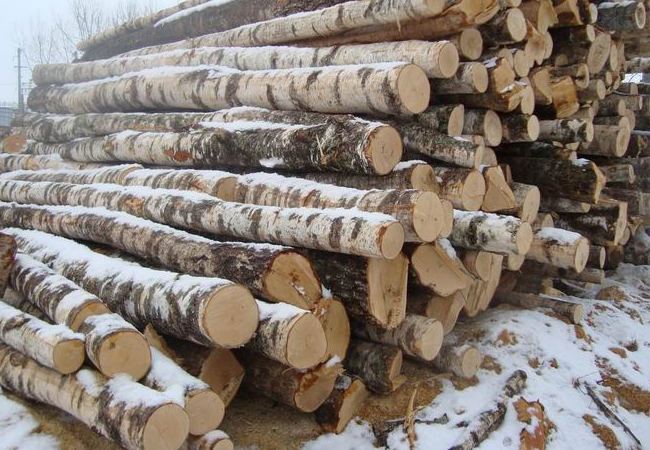 Уряд заборонив вивозити з України дрова на експорт. В умовах війни з РФ і атак Росії на об'єкти енергетичної інфраструктури дрова стають стратегічним ресурсом.