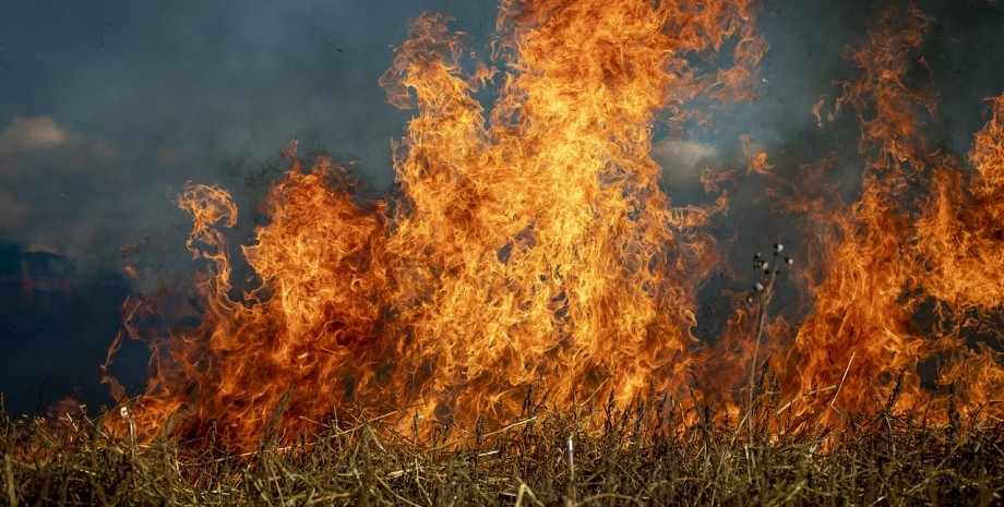 5 квітня рятувальникам повідомили про загорання сухої трави на відкритій території за адресою: Хустський район, Міжгірська тергромада, с.Сойми. 