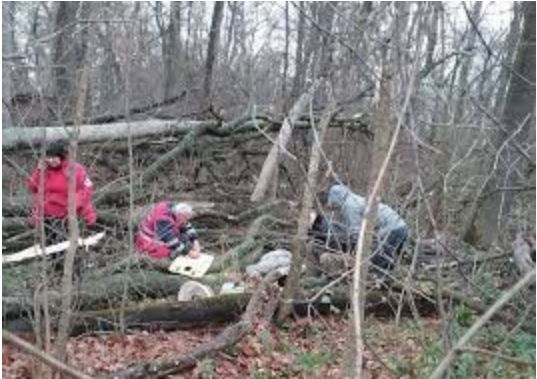 Смертельно травмувався в лісі під час заготівлі дров: тагічний випадок стався у суботу на Тячівщині.