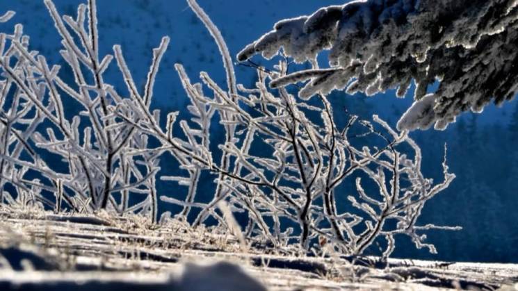 Закарпатський обласний центр з гідрометеорології інформує, що 30 січня 2018 року

