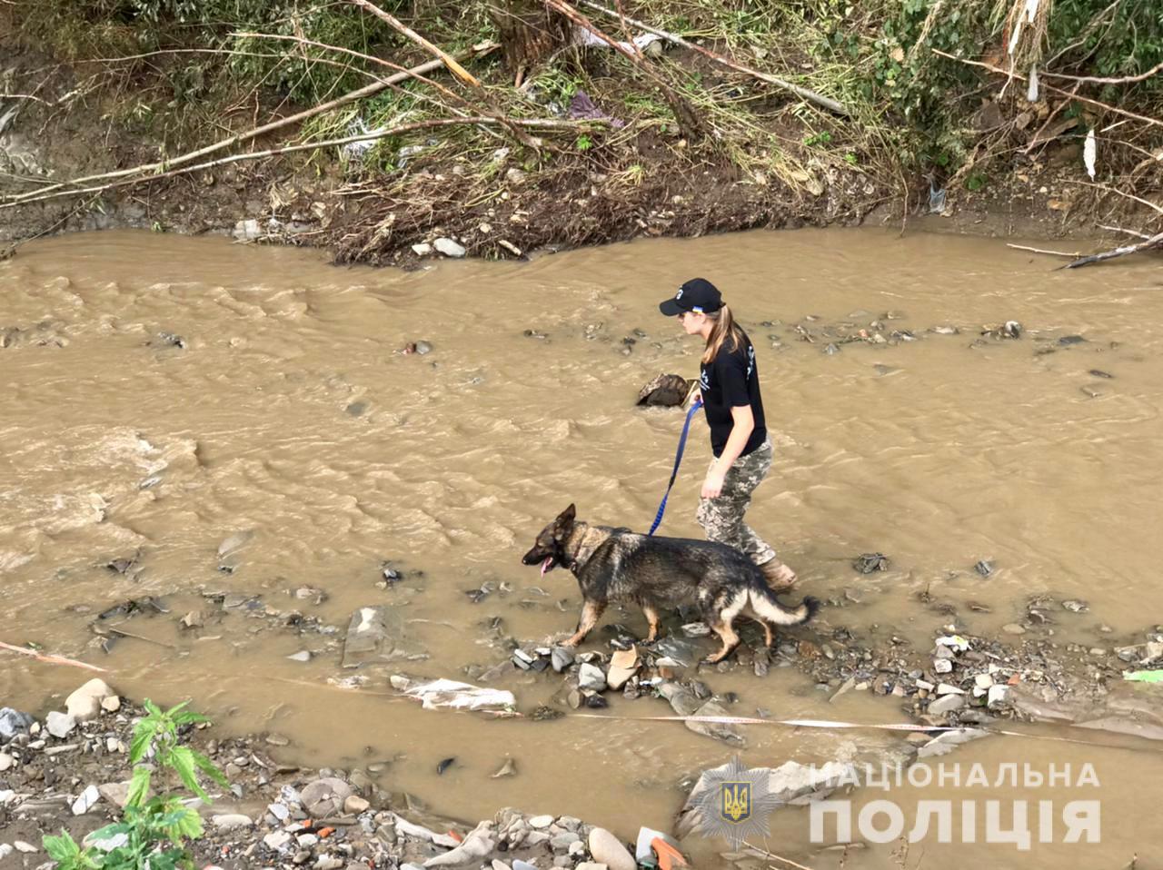 65-летний местный житель пропал без вести во время паводка в селе Ясиня Раховского района.  Поиски мужчины, который пошел спасать свою лошадь и не вернулся, продолжаются.