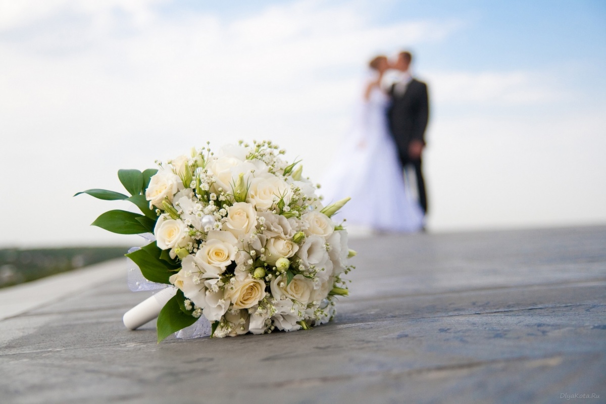 Кабинет Министров запустил пилотный проект по регистрации бракосочетания в течение 24 часов в Ужгороде, Черновцах, Ивано-Франковске, Сумах, Тернополе и Чернигове.