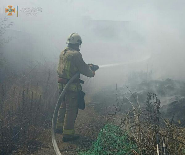 За окном не утихает жара и пожары сухой растительности. Так, с начала года из 1205 пожаров, произошедших в Закарпатье, 576 возникли в экосистемах региона.