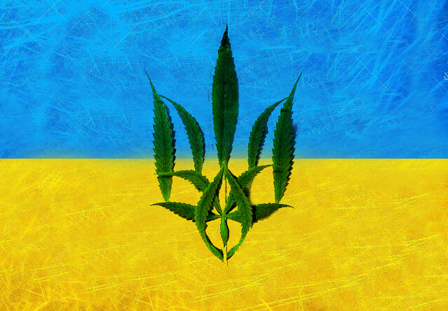 Несподівано увагу українського суспільства, зайнятого з’ясуванням передвиборчих симпатій, було відвернуто темою «легалізації медичної марихуани».
