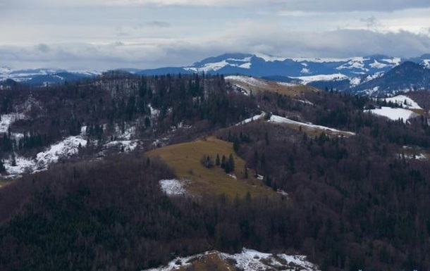 Суперечка про мораторій на імпорт українського лісу-кругляка триває декілька років. ЄС вимагає зняти заборону.
