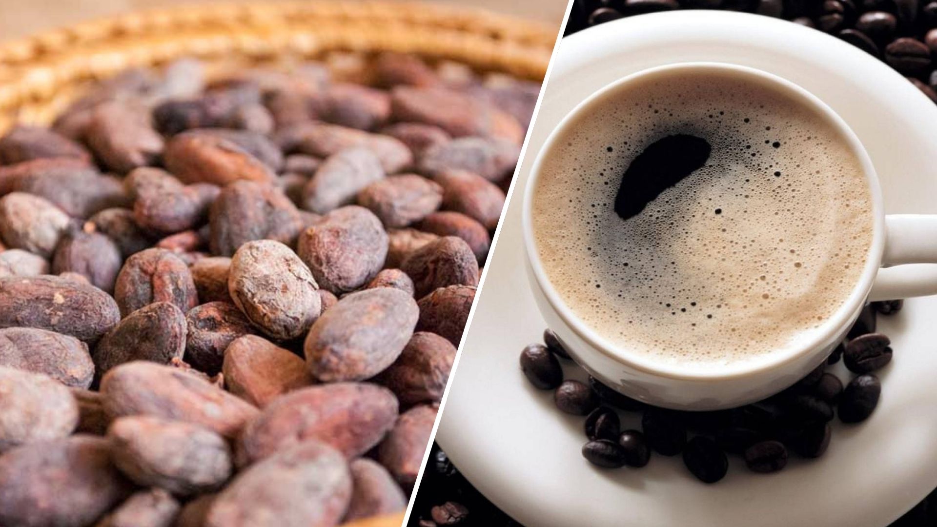 Вартість какао-бобів на товарному ринку вчора закрилась на рівні $6666 за 10 метричних тон. Це може здатися смішним, але насправді це серйозна проблема. Вартість какао більш ніж подвоїлась за рік на тлі втрати врожаю в Гані та Кот-д’Івуварі.