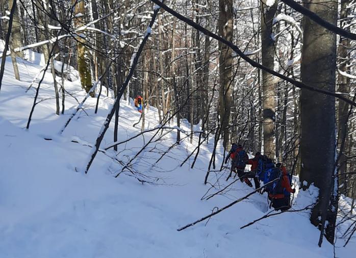 Рятувальники на Закарпатті 5 березня припинили пошуки лижника-туриста з Києва, який разом із другом, якого вдалося знайти, загубився в ніч на 14 лютого у районі гори Гемба у Карпатах.