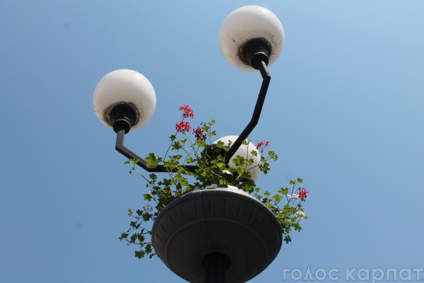 В Мукавчев тривають роботи з благоустою. Зокрема, у центрі міста на освітлювальних ліхтарях встановили 20 кашпо із квітами .
