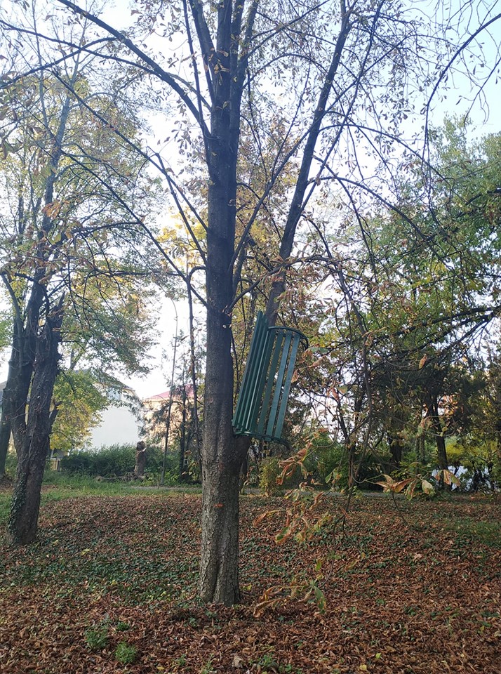 В одному із парків Ужгорода невідомі вночі вирвали лавицю із місця і повісили на дерево.