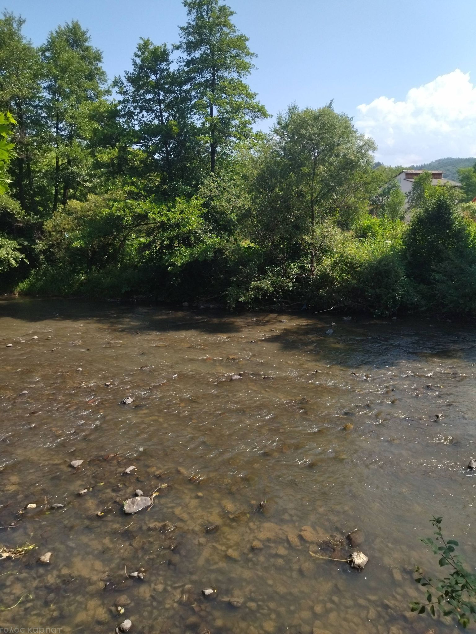 На Закарпатті хоча й потепліло і вже можна купатись, а от водойми у спеку не радують рівнем води. 