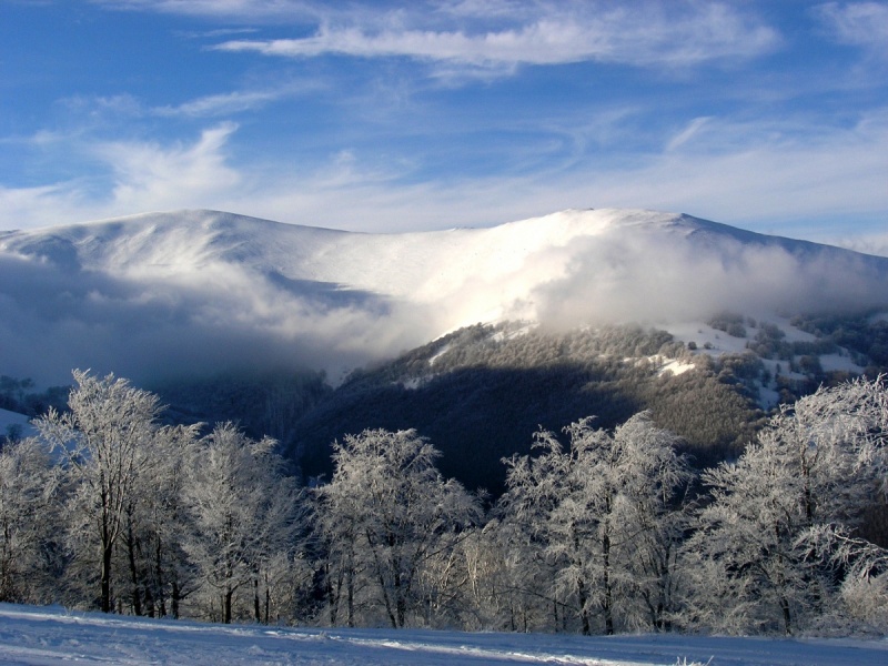 Утром и в первой половине дня 1 -го февраля в горных районах центральной и восточной части области ожидаются сильные осадки в виде мокрого снега и снега.