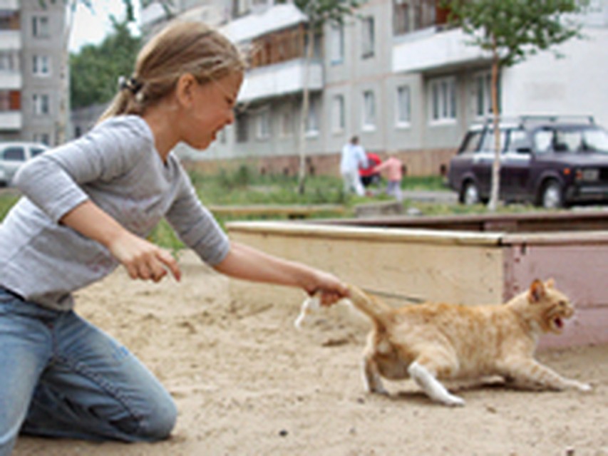 Поліція Іршави відкрила кримінальне провадження за фактом жорстокого поводження дітей з твариною.