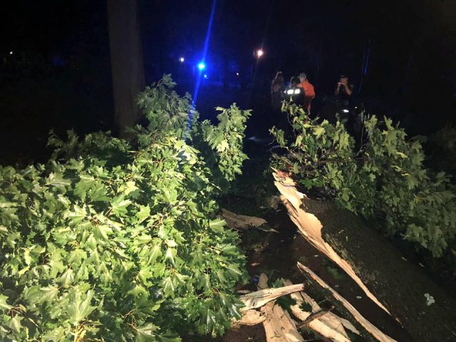 Внаслідок грози зі шквальним вітром ввечері 1 липня у Львові дерево смертельно травмувало двох молодих людей.
