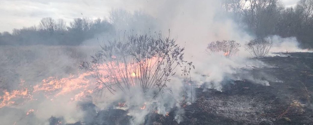 Найбільше горіло на Ужгородщині: впродовж доби на Закарпатті згоріли понад 95 гектарів сухої трави й чагарників