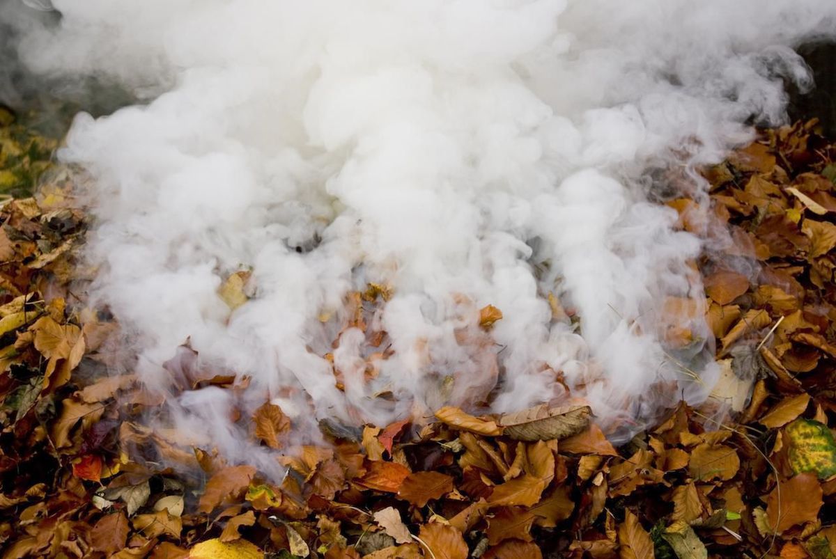 Експерти розповіли про небезпеку диму від спалювання листя, про яку багато хто навіть не здогадується.