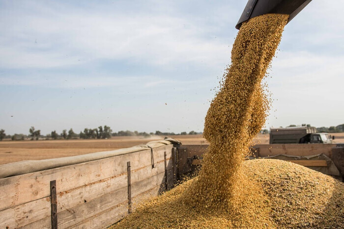 Польща хоче заборони на імпорт зерна з України