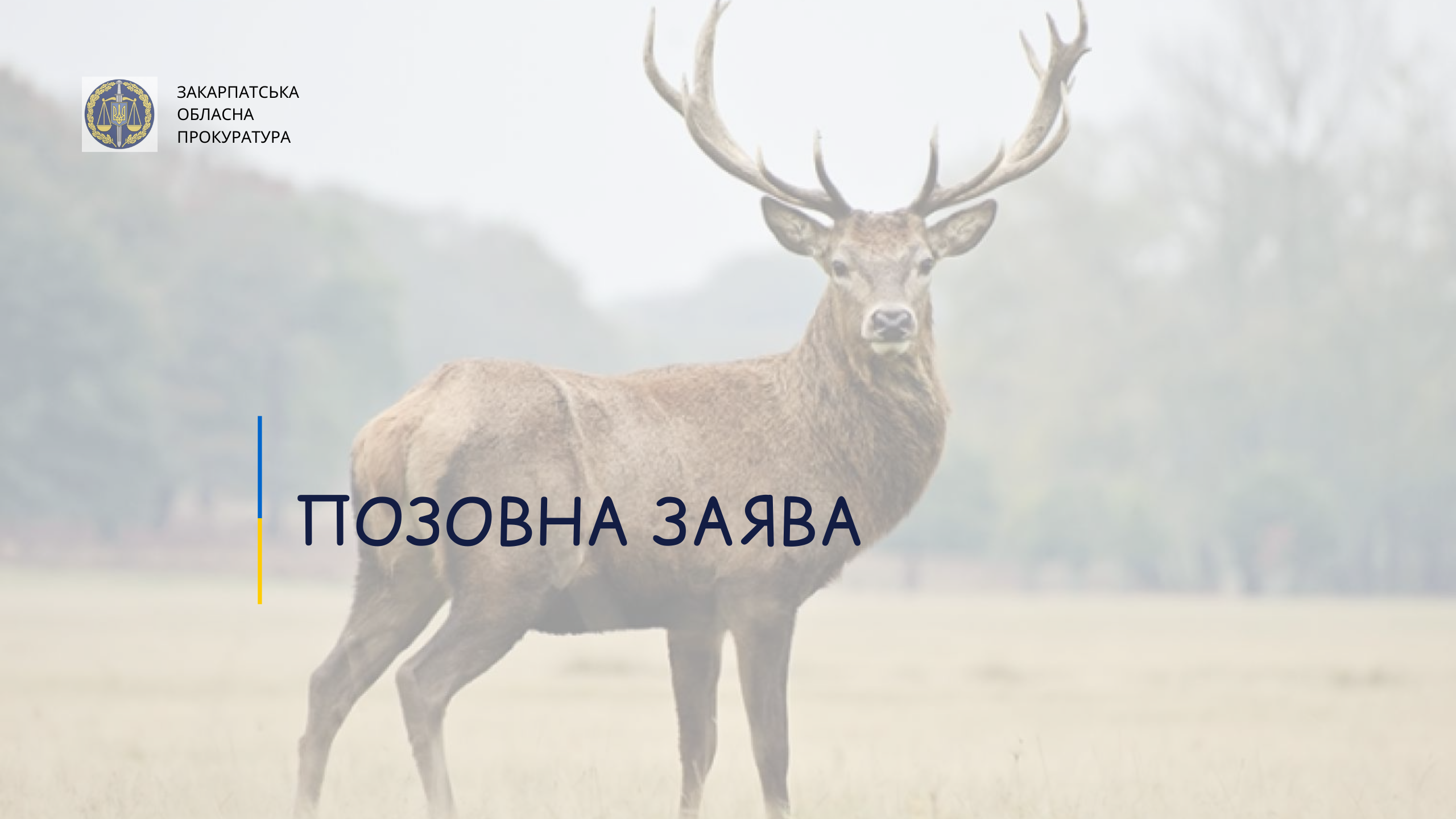 Прокуратура Хустского района подала иск к местному жителю о возмещении ущерба, причиненного незаконной охотой в Синевирском национальном природном парке.