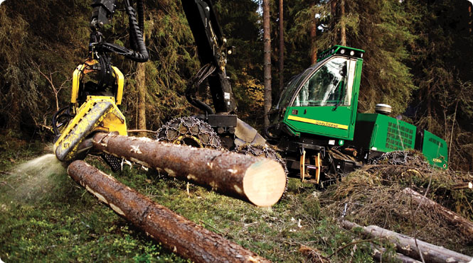 Трагічна подія сталась у лісі на Хустщині, у селі Копашнево. Молодого 32-річного чоловіка вбило деревом у лісі Хустського держлісгоспу.