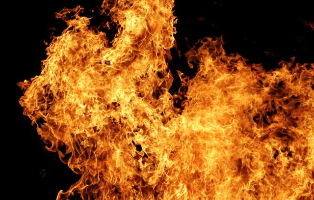 19 сентября в 11:31 к перечинських спасателей поступило сообщение о пожаре в надворной постройке (дроварня-коптильня), что в селе Турья Пасека.