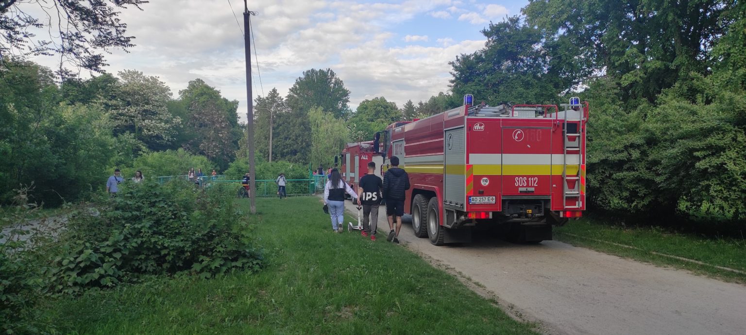 В ужгородському Боздошському парку сталася пожежа
