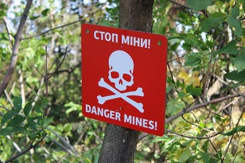 У селі Великий Березний, Ужгородського району виявили чотири протитанкові міни. Про це повідомляє ДСНС Закарпаття.